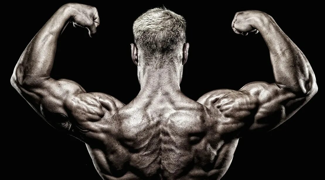 Building your body
