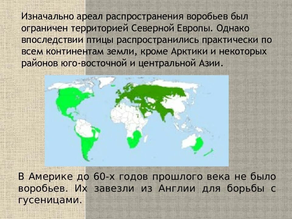 Ареал обитания. Ареал обитания воробья. Ареал распространения воробьёв. Ареал домового воробья.