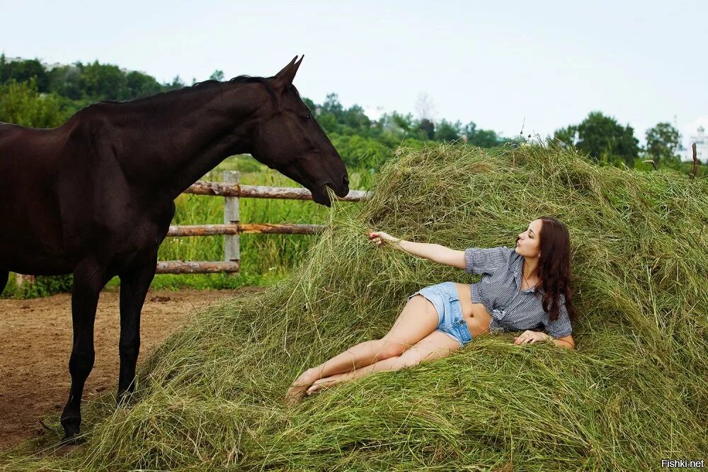 Картер кони видео. Телки лошади. Телка кобыла. Девушка с лошадью. Конь лежит на траве.