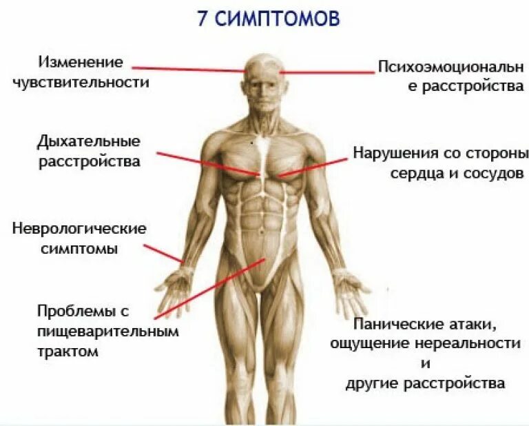 Как ощущается паническая. Вегето-сосудистая дистония симптомы. Вегетативно сосудистая дистония симптомы. Венето сосудистая дистания. Симптомы вегетососудистой дистонит.