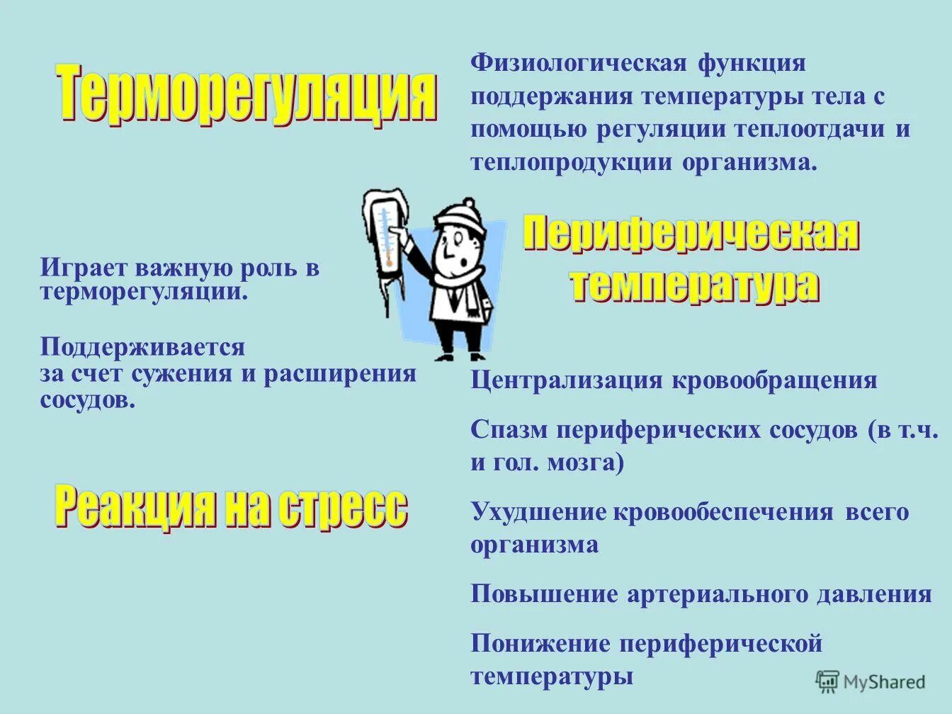 значение витамина в6. важную роль в работе организма играет. перечислите механизмы противоинфекционной защиты. гуморальная регуляция функций организма схема. важную роль в работе организма играет.