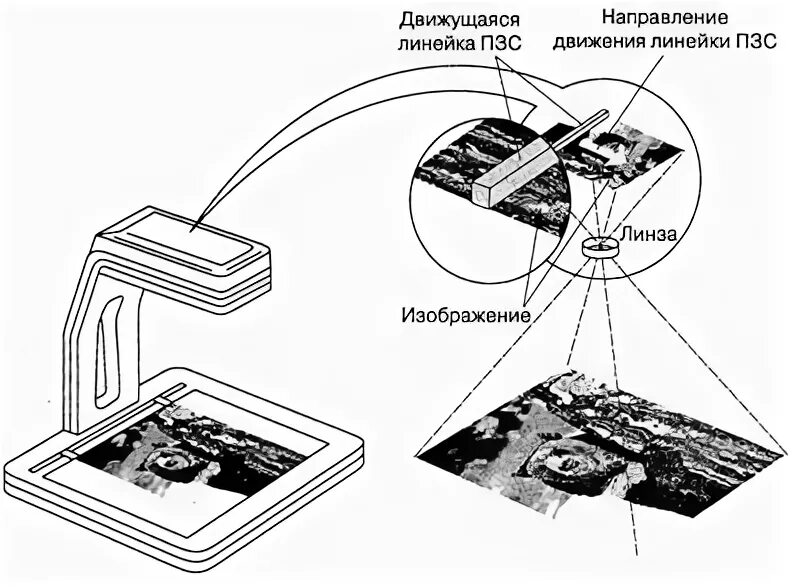 Сканер максимальный формат. Проекционный сканер принцип работы. Проекционный сканер вид фотодатчика. Схема работы барабанного сканера. Сканеры мертеч схема.