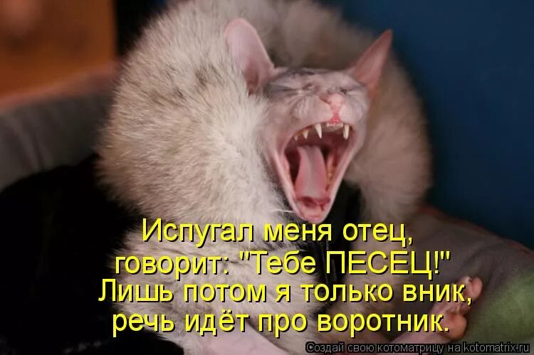 Ты думал что можешь меня напугать. Ты думал что можешь меня напугать