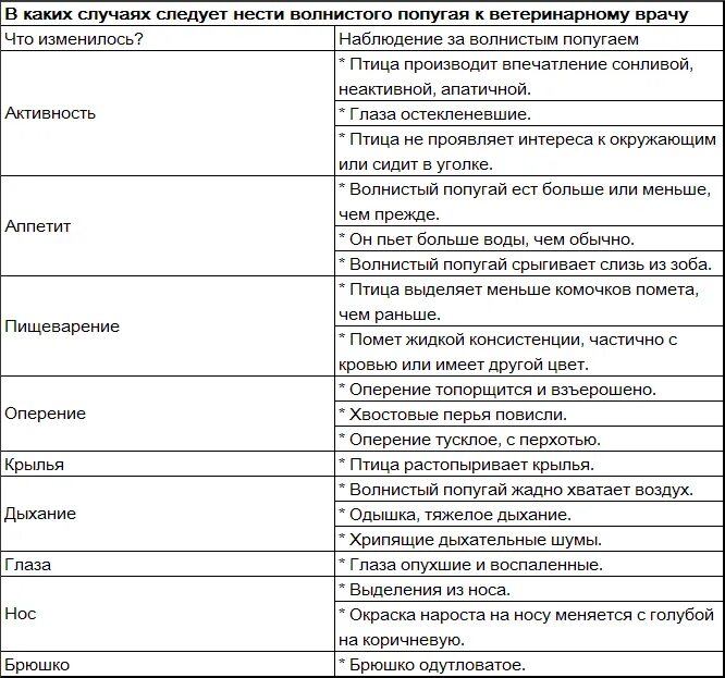 Сколько лет попугаю по человеческим. Какие антибиотики можно попугаю волнистому. какие антибиотики можно давать попугаям. антибиотики для попугаев. антибиотик для попугая волнистого.