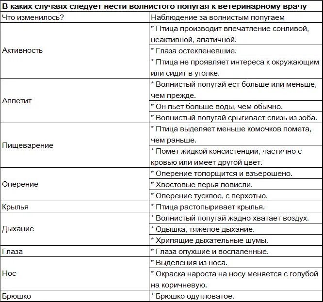 Сколько лет попугаю по человеческим. Какие антибиотики можно попугаю волнистому. Какие антибиотики можно давать попугаям. Антибиотики для попугаев. Антибиотик для попугая волнистого.