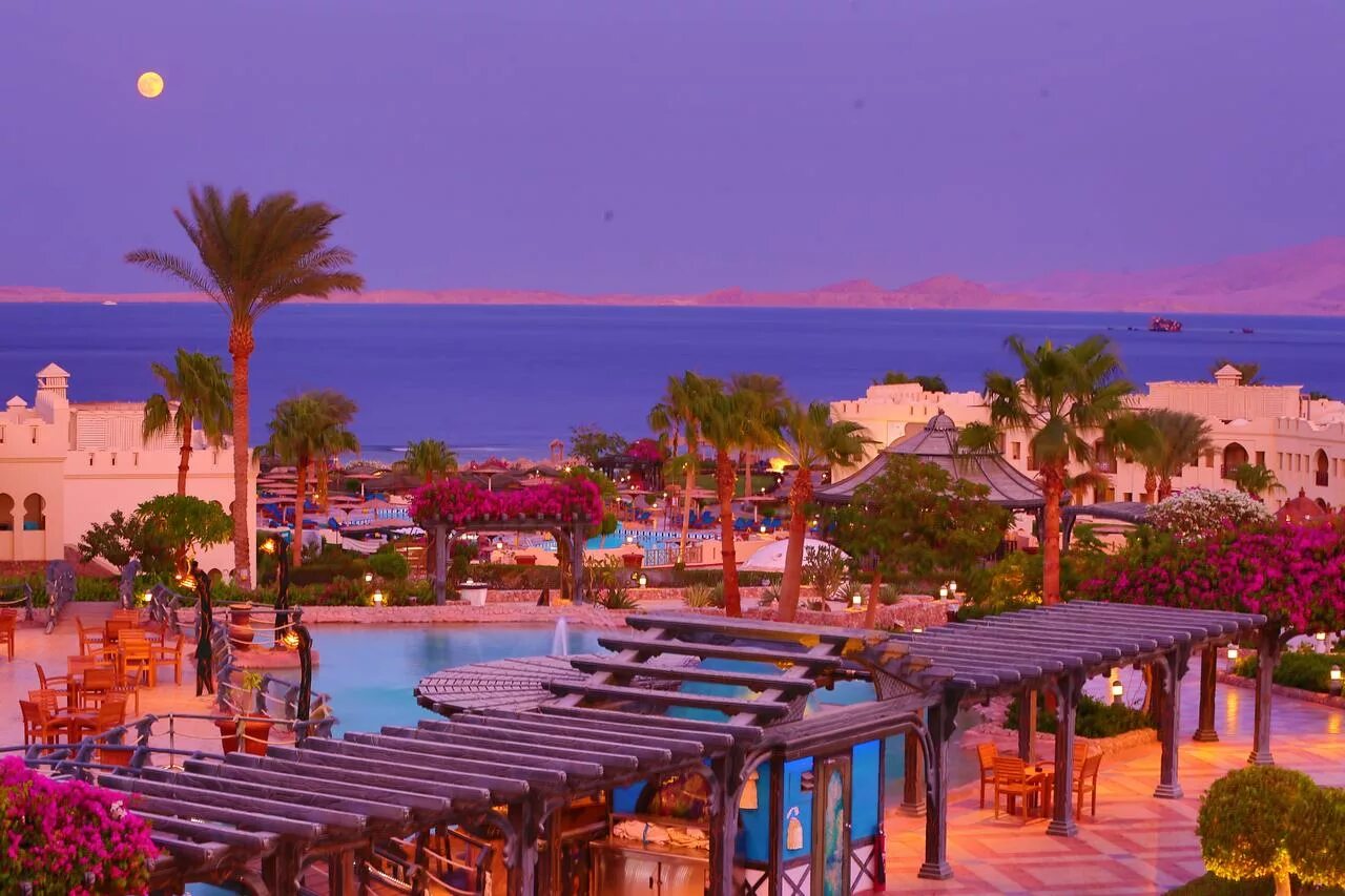 Charmillion club 5*. Sea club resort 5 шарм-эль-шейх. Sea club resort) 5*. Charmillion club resort (ex. Charmillion club resort (ex.