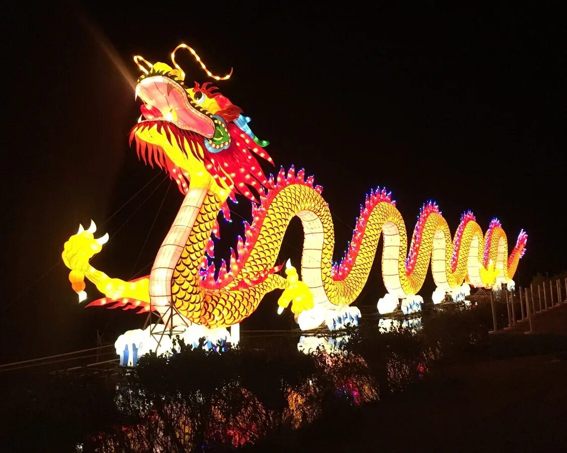 Год китайского дракона 2024. Китайский новый год. Китайский дракон. Фестиваль дракона. Китайский новый год ночь.