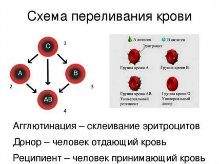 Гемотрансфузия эритроцитов