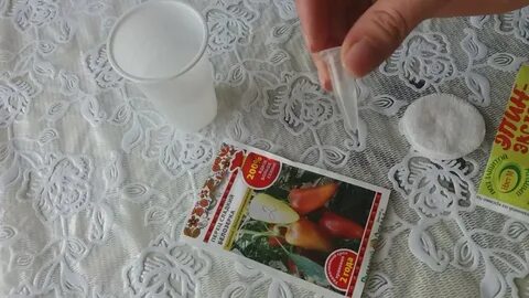 Как замочить семена перца в эпине