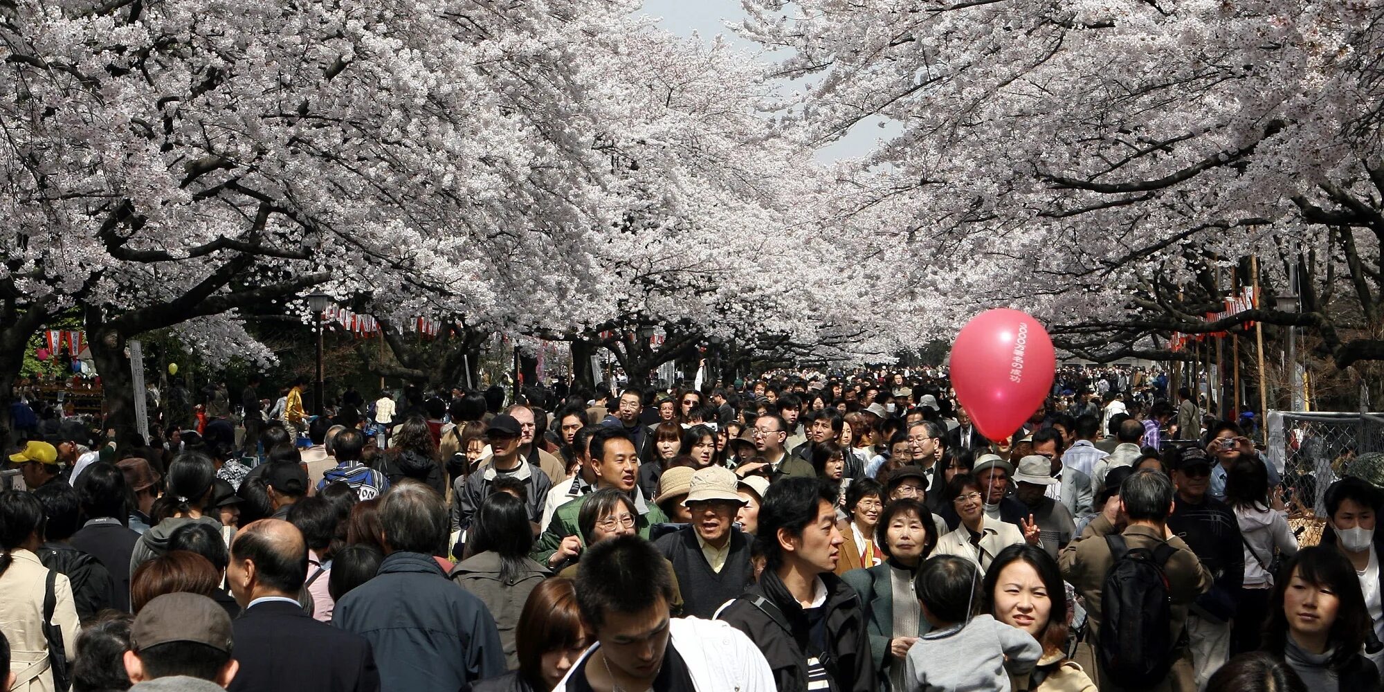 Population in japan. Japan population. Динамика населения японии по годам. Карта японии по плотности населения. Толпа японцев.