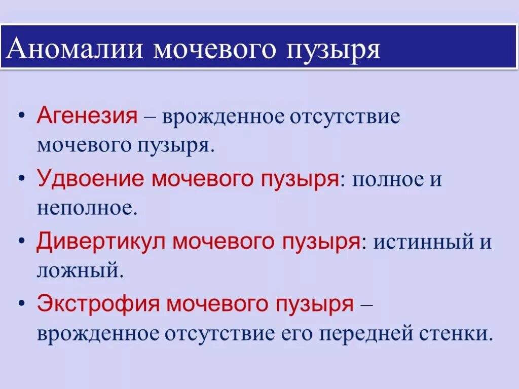 Аномалия мочевого. Аномалии развития мочевого пузыря. Причины аномалии развития органов мочеполовой системы. Врожденная патология мочевого пузыря. Двойной мочевой пузырь.