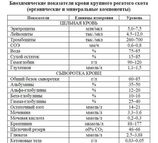 Анализ крови крупного рогатого скота норма. Биохимический анализ крови КРС нормы. Биохимические показатели крови коров норма. Биохимические показатели крови крупного рогатого скота норма. Анализ на аммиак в крови