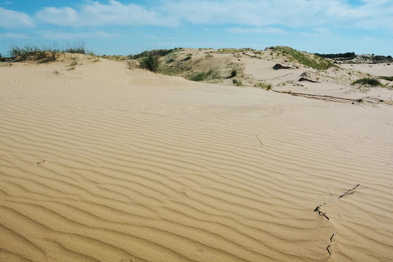 песчаные дюны хонгорын-элс. поющий бархан заповедника алтын-эмель. песчаные дюны в пустыни гоби. аккум калкан поющий бархан. пустыня поющие пески.
