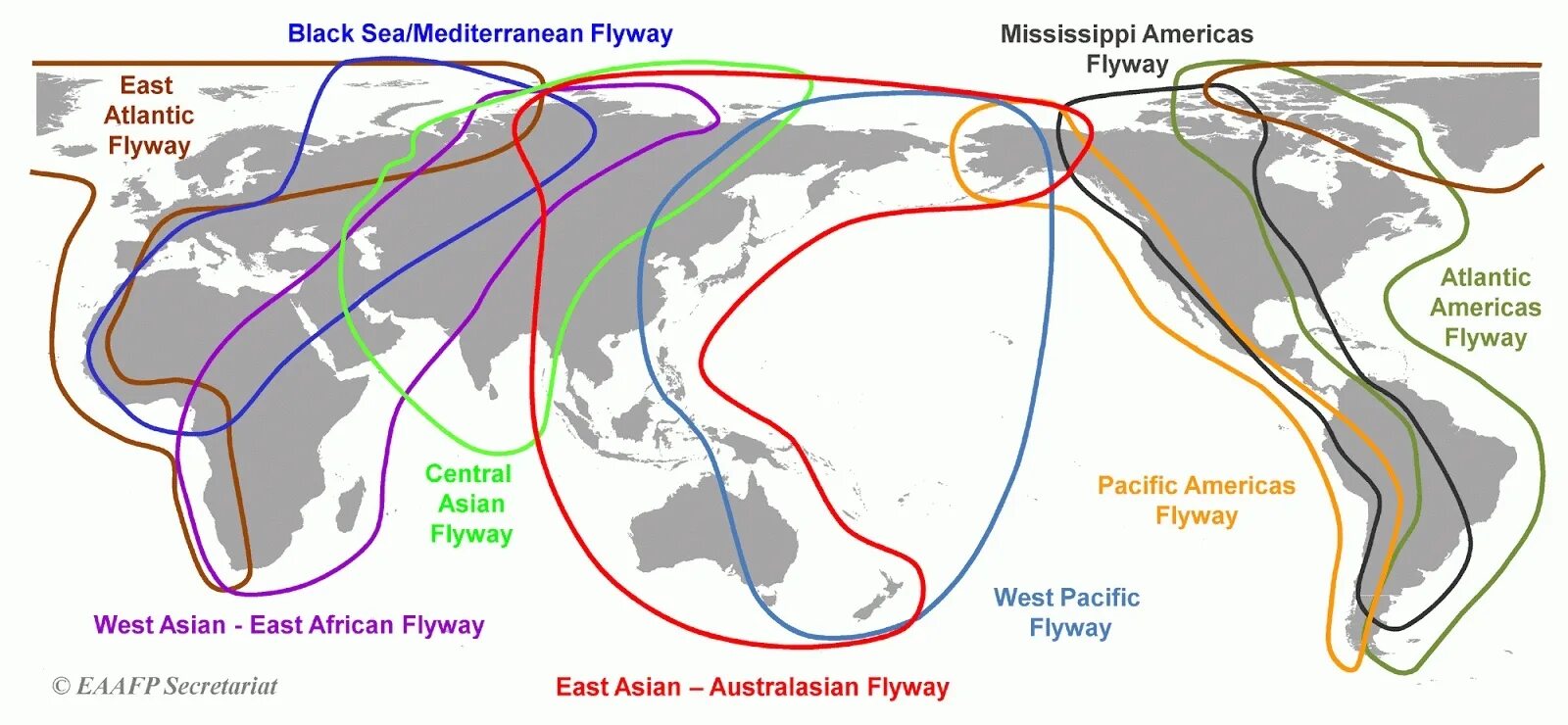Популяризируя новые маршруты под иным углом. Пути миграции перелетных птиц. Маршруты миграции перелетных птиц. Миграция птиц схема. Карта миграции птиц.