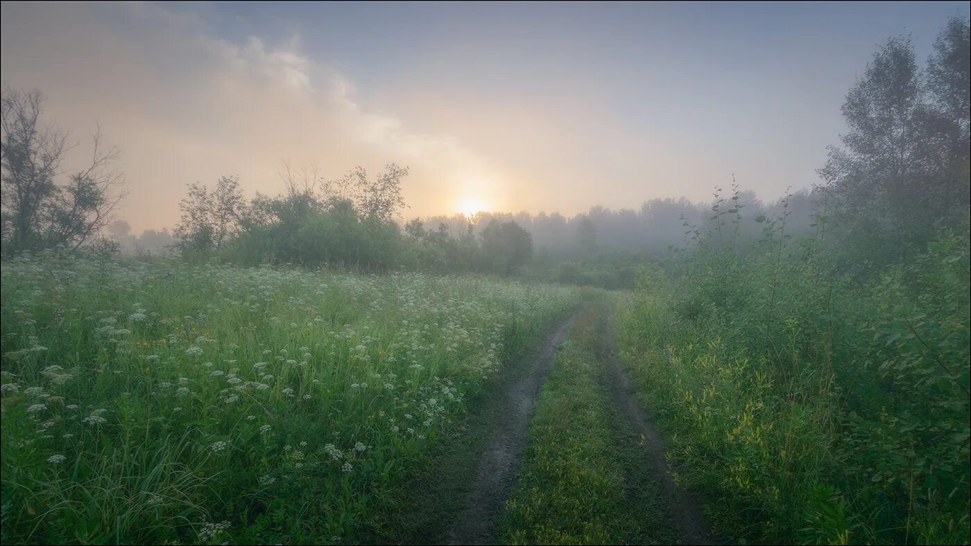 Раннее утро 4 буквы