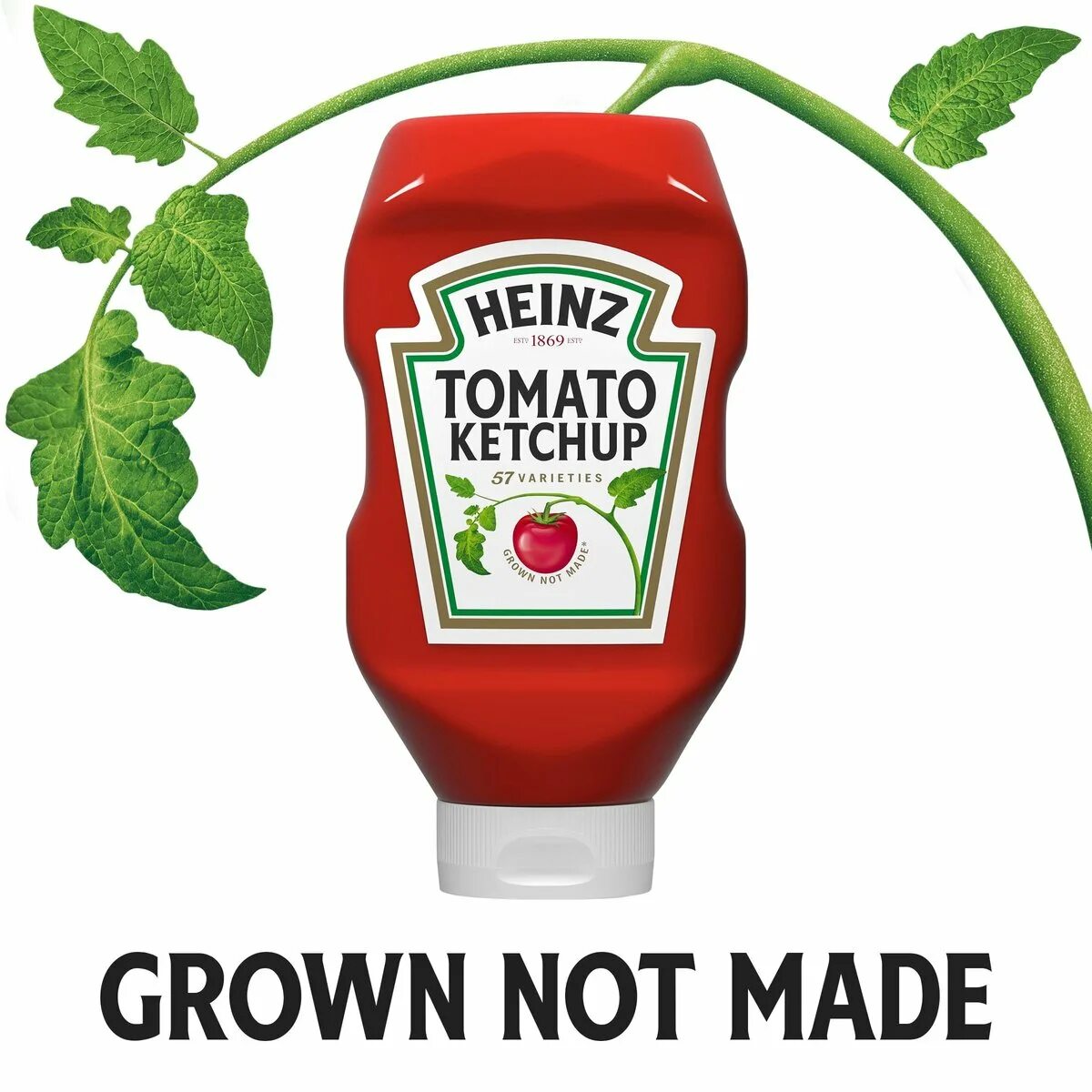 Tomato ketchup. Heinz Organic кетчуп. Heinz Tomato Ketchup. Соус Хайнц кетчуп. Кетчуп Heinz без фона.