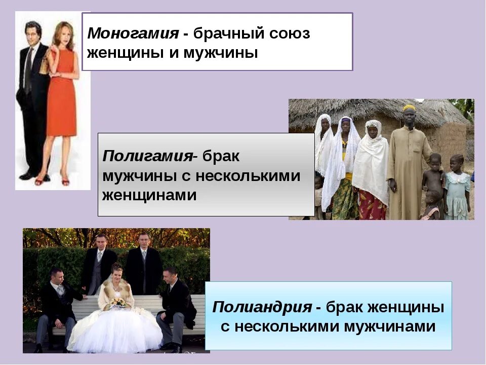 Что такое моногамия и полигамия