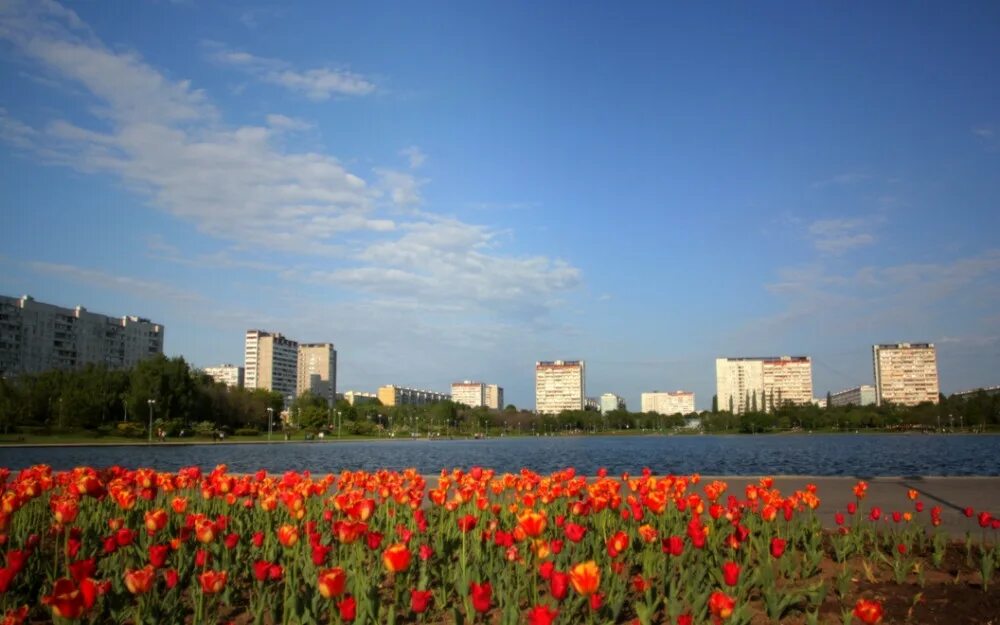 район гольяново. район гольяново. восточный административный округ гольяново. гольяново панорама. гольяновский пруд москва.