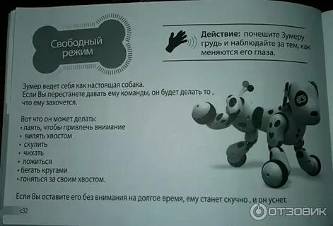 Зуммер с какого года