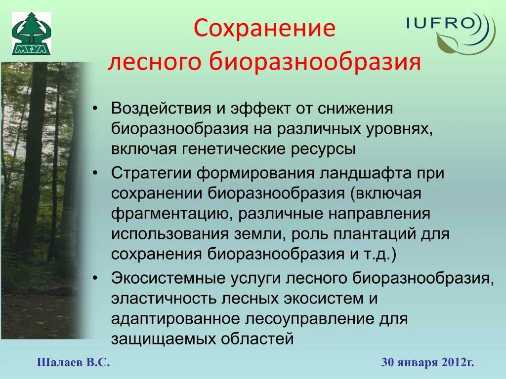 Мероприятия по сохранению биологического разнообразия. Способы сохранения биологического разнообразия. Меры по сохранению биоразнообразия. Сохранение биоразнообразия.