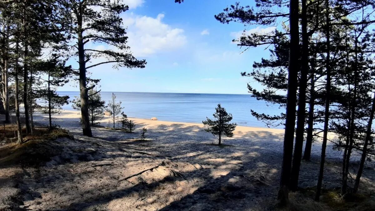 Погода в моторном приозерского ленинградской. Погода в моторном приозерского ленинградской. Посёлок моторное приозерский. Продам участок моторное ленобласть. Погода в моторном приозерского ленинградской.