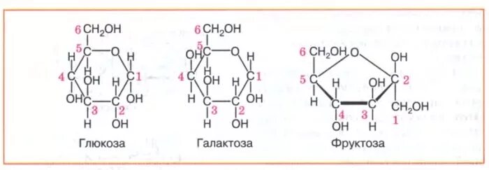 Строение Глюкозы фруктозы галактозы. Глюкоза фруктоза галактоза формулы. Глюкоза и галактоза формула. Структурные формулы Глюкозы фруктозы и галактозы.