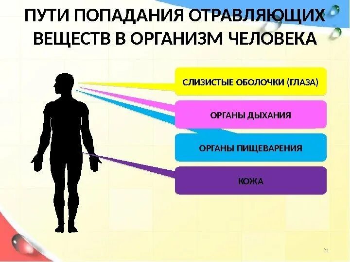 После попадания в организм. Пути поступления вредных веществ в организм человека. Пути попадания отравляющих веществ в организм человека. Пути попадания токсических веществ в организм. Пути проникновения в организм.