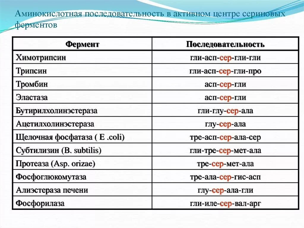 Ала сер про. Аминокислотная последовательность. Аминокислотная последовательность в активном центре амилазы. Последовательность аминокислот. Аминокислоты радикалы которых входят в активный центр фермента.