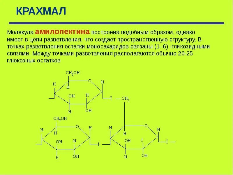 Пространственная структура крахмала. Молекула амилопектина. Молекула крахмала. Амилоза и амилопектин.