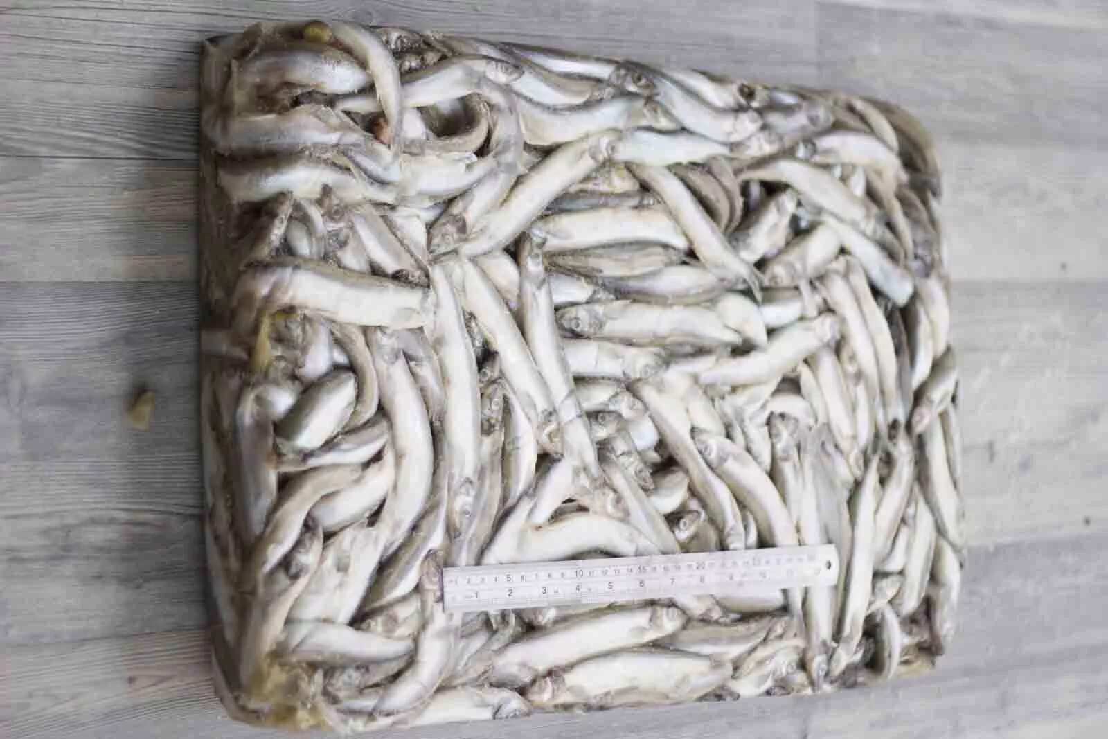 рыба с/м мойва 1кг. мойва сахалинская. мойва х/к. мойва крупная свежемороженая. мойва свежемороженая 1 кг.