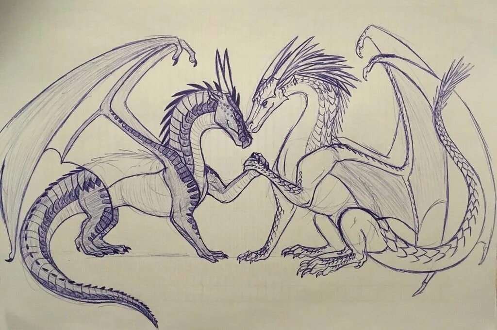 Большие рисунки драконов