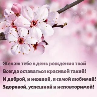 День рождения дзена