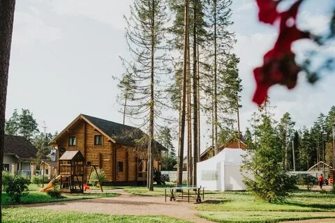 Телефон ленобласти
