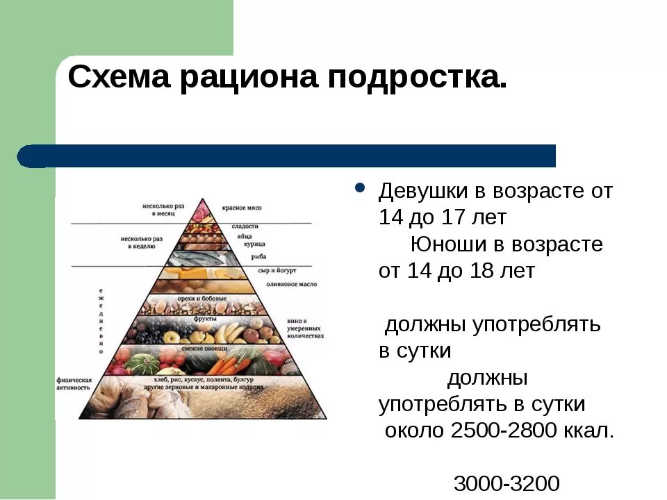 Диеты 16 лет. Правильное питание для подростков. Рацион подростка. Правильный рацион питания для подростков. Схема рациона подростка.