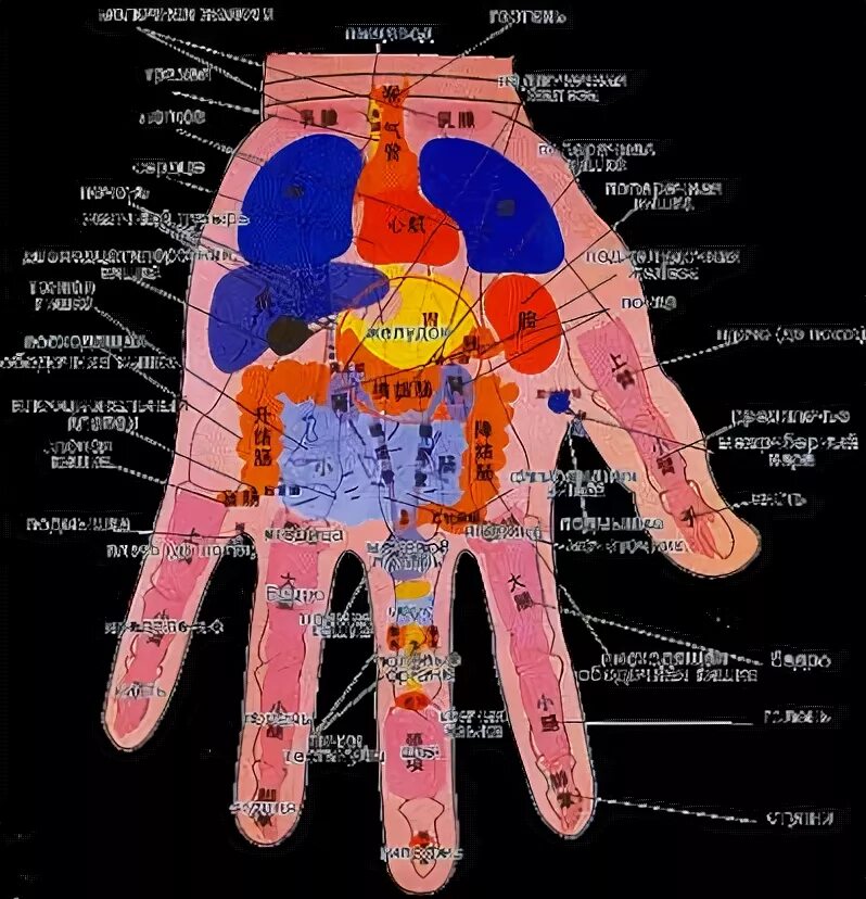 Китайская медицина руки. Точки китайской медицины. Китайская медицина точки на теле. Точки на руках по китайской медицине. Китайская медицина точки на ладони.
