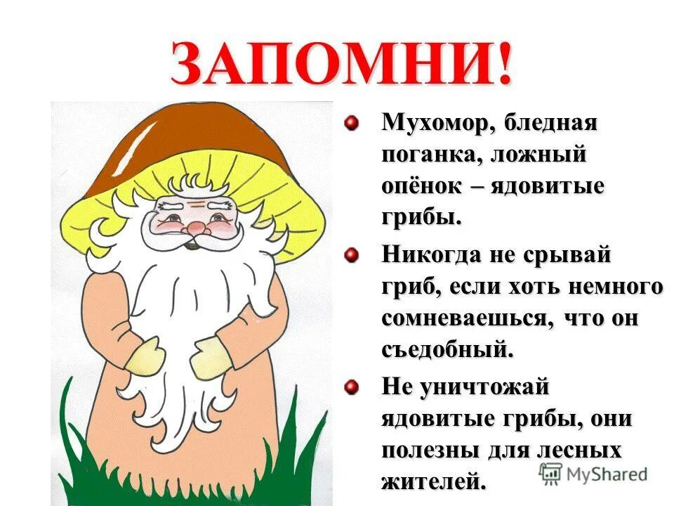 Старичок текст. Лесовичок для дошкольников. старичок лесовичок. загадки лесовичка. загадки для детей от старичка лесовичка.