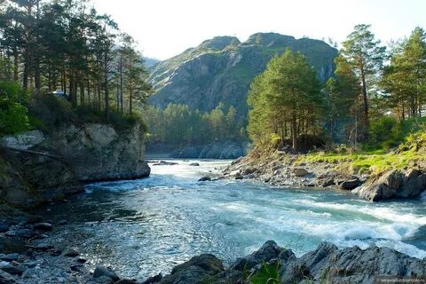 Горные реки алтая