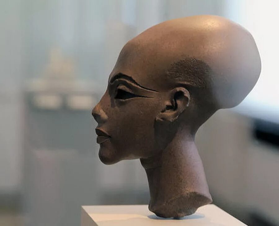 Почему голова вытянутая. Нефертити инопланетянка. Нефертити форма черепа. Форма головы Нефертити. Эхнатон фараон и Нефертити.