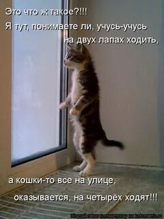Уехали про меня забыли