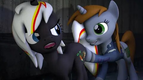Noodledude pmv