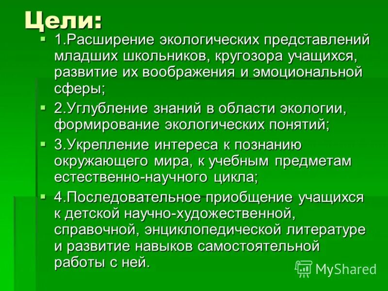 экологическое представление это