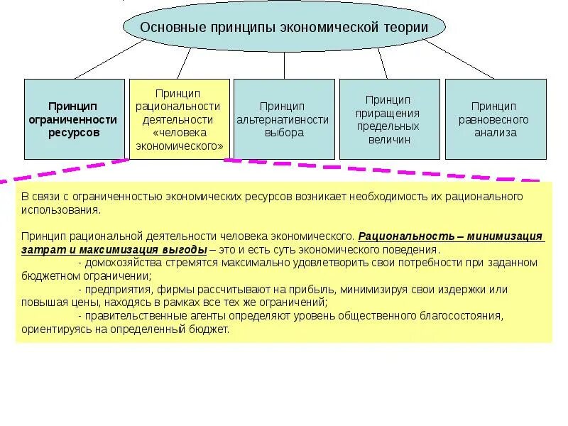 Основные принципы экономической теории. Основные экономические принципы. Принцип экономической рациональности. Основные принципы теории деятельности.