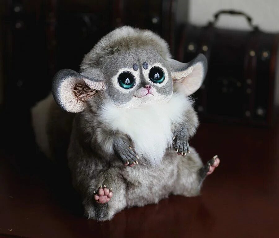 Мексиканский глазоух. Глазоух. Магадаскарзкий глазо ух. Мадагаскар кий глазоух. Граф santaniel игрушки.