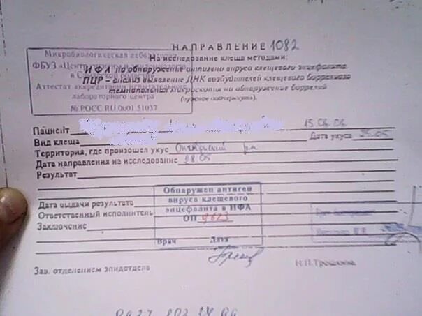 Вакцинация энцефалит схема. Медотвод от клещевого энцефалита. Медотвод от клещевого энцефалита. Прививки клещевой энцефалит. Отметка о вакцинации против кори.