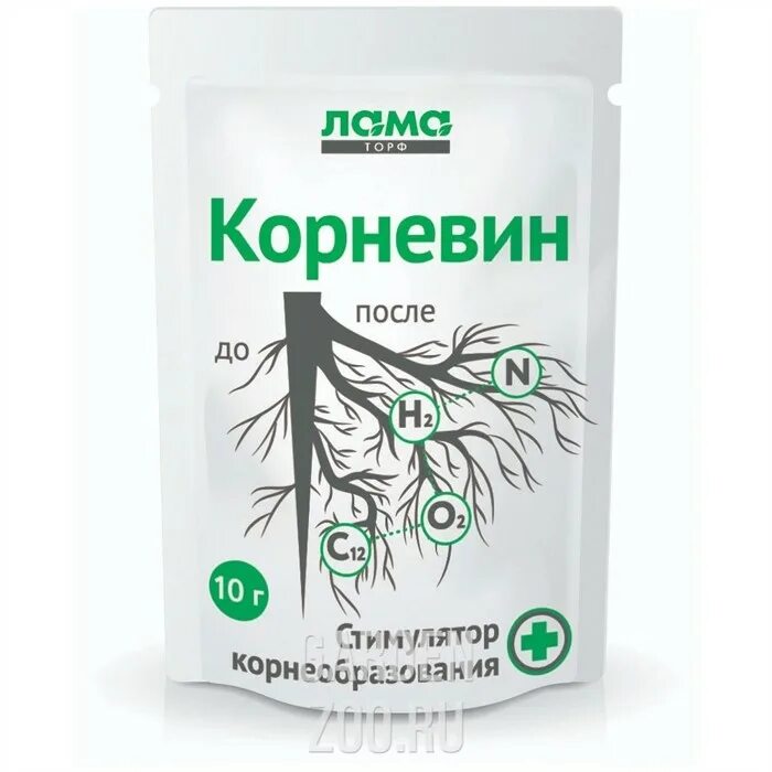 Самые лучшие условия для корнеобразования. Самые лучшие условия для корнеобразования