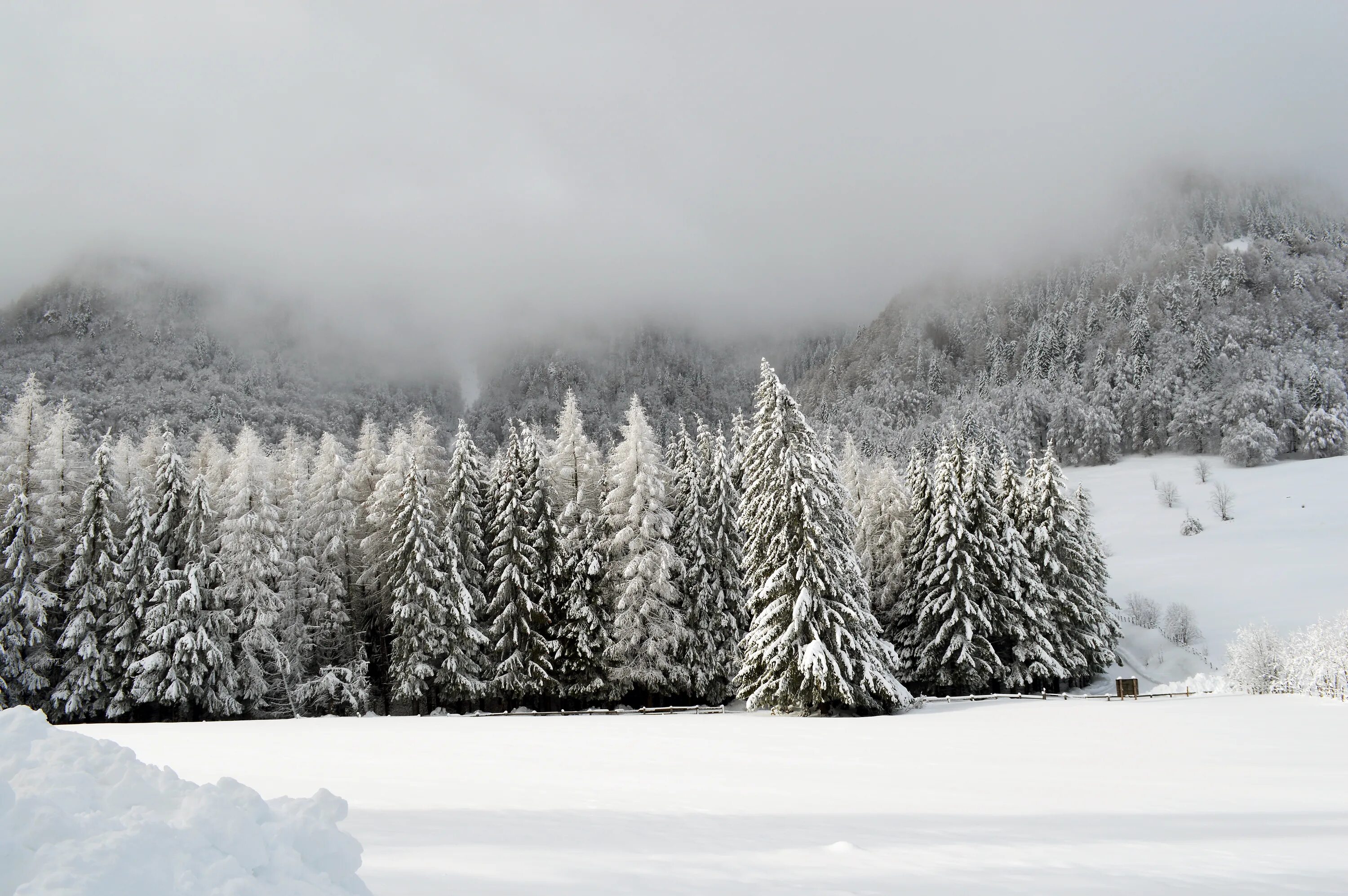 Cold december. Зима горы метель. Заснеженная зима метель лес горы. Горы снег лес. Заснеженные горы метель лес..