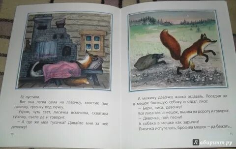 Девочка с лисьим хвостом книга