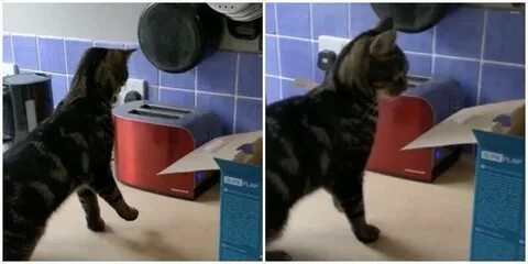 Внезапно выскочить
