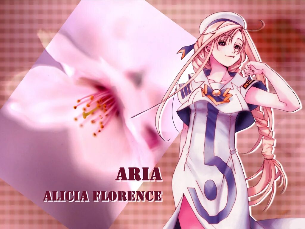 Ария цветов. Алисия Флоренс Ария. Ария обои на рабочий стол. Ария обои на телефон. Ария имя.