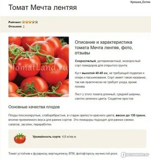 Сорт томатов чудо лентяя отзывы